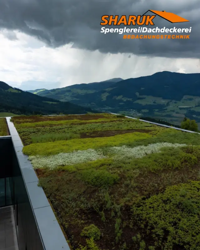 Genau davor haben viele Flachdachbesitzer Angst! 🤯
Die Symbiose aus bepflanztem Dach und Natur wirkt nahezu perfekt,
doch was wenn das Dach undicht wird?
Können mir die Pflanzen das Dach kaputt machen?
Wie viel Wartung benötigt ein solches Dach?
Wäre ich mit einem anderen Dach besser beraten?
 
Bei all diesen Fragen können wir Ihnen professionell zur Seite stehen! 💪
Mit individuellen Dachlösungen und Know-How gibt es Sicherheit statt Zweifel 😉
 
#spenglerei #dachdeckerei #rosenheim #flachdach #bayernsdächer